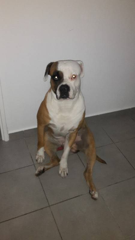 Site de rencontre 97150