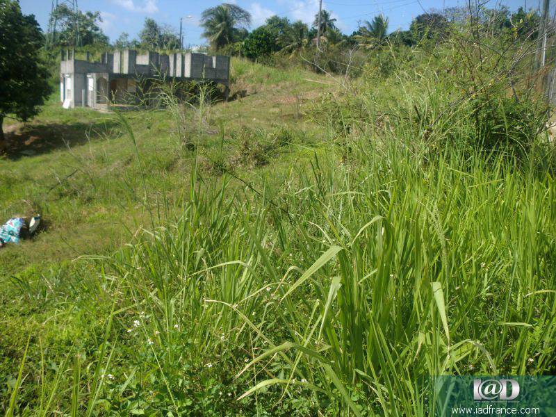 rencontres guadeloupe