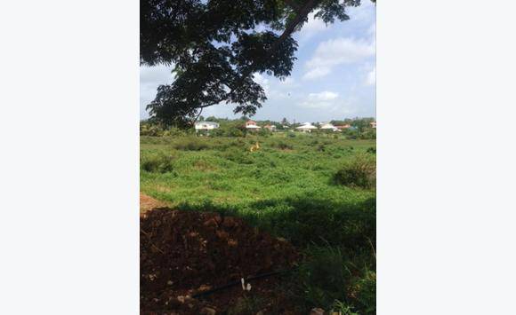 rencontres le lamentin