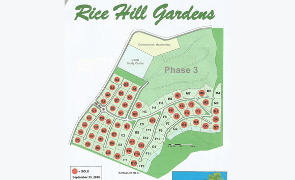 Superficie de riz Hill Gardens E13
