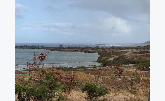 Land Sector Orient Bay Les Hauts de La...