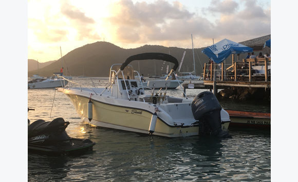 Bateau open américain 7m40