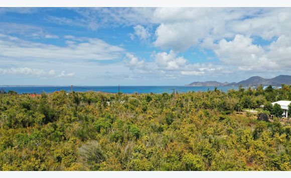 Terres Basses - Rare - Terrain 14 000 m2