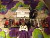 Photo for the classified X Box 360 Kinect and 12 games Saint Martin #0