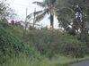Photo de l'annonce Terrain à bâtir Goyave Guadeloupe #0
