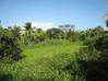 Photo de l'annonce Sainte Rose - Terrain plat de 1257 m² -.. Sainte-Rose Guadeloupe #0