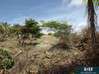 Photo for the classified 1 515 m² land Saint Martin #3