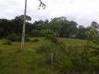 Photo de l'annonce Terrain ag deboisé cadastré 5000m2 Montsinery Montsinéry-Tonnegrande Guyane #1