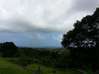 Photo de l'annonce Goyave terrain Goyave Guadeloupe #4