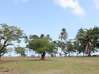 Photo de l'annonce T5 5 pièces centre ville Cayenne Guyane #8