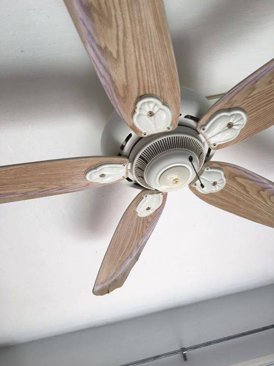 Ceiling Fans Used In Working Condition