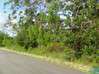 Photo de l'annonce Terrain 454 122 m² Macouria Guyane #0
