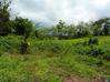 Photo de l'annonce Terrain 2 450 m² Lamentin Guadeloupe #1
