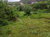 Photo de l'annonce Terrain Constructible Le Marigot 850 m² Le Marigot Martinique #3