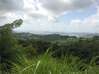 Photo de l'annonce Vert Pre terrain - Terrain de. Le Robert Martinique #1