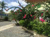 Photo for the classified villa of charm 2 rooms Saint Martin #12