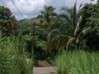 Photo de l'annonce Terrain à bâtir - 800 m² - Sainte-Luce Sainte-Luce Martinique #0