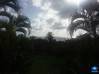 Photo de l'annonce Appartement Résidence La Plage Anse. Sainte-Anne Martinique #1