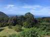 Photo de l'annonce Deshaies, Terrains de 800, 00 m² à 802. Deshaies Guadeloupe #1