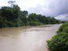 Photo for the classified Terrain sur la rivière de Counamama Iracoubo Guyane #3
