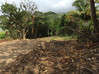 Photo de l'annonce villa de plain pied au lamentin reste 1 LOT Le Lamentin Martinique #6