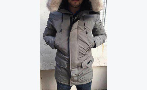 canada goose grise canada goose grise