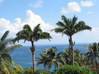 Photo de l'annonce Sainte Anne superbe propriété vue mer. Sainte-Anne Guadeloupe #2