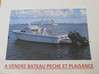 Photo de l'annonce bateau pêche promenade avec cabine Saint-Martin #0