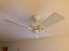 Photo for the classified ceiling fan Saint Martin #0