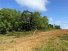 Photo de l'annonce Terrain agricole Montsinery Tonnegrande Cayenne Guyane #1