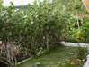 Lijst met foto 1 slaapkamerappartement met tuin in amandel Grove Almond Grove Estate Sint Maarten #12