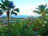 Photo for the classified Property Saint Martin #4