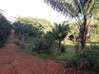 Photo de l'annonce grande parcelle de terrain agricole Montsinéry-Tonnegrande Guyane #0