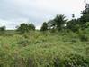 Photo de l'annonce terrain consructible Macouria Guyane #0