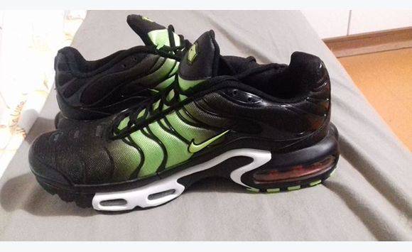 basket requin tn basket requin tn