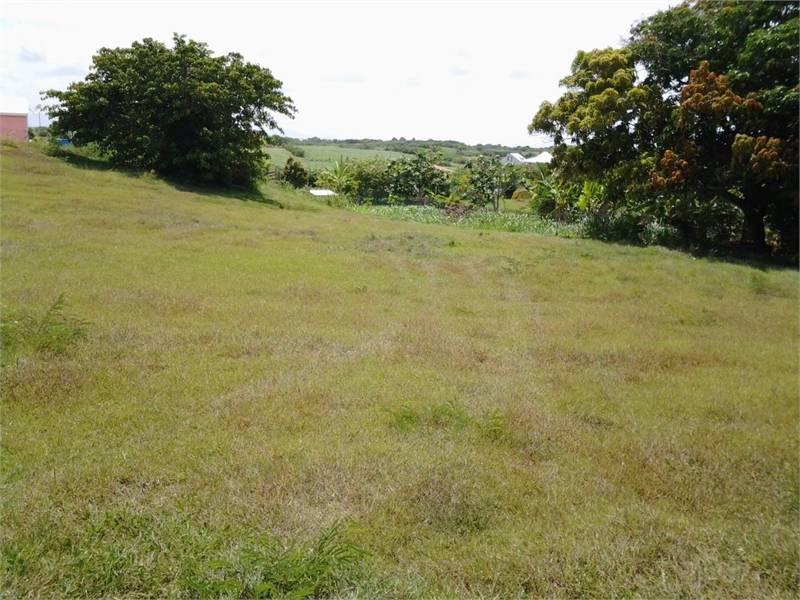 Terrain à bâtir le moule Ventes Terrain Guadeloupe • Cyphoma