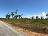 Photo de l'annonce terrain agricole dans lotissement avec. Cayenne Guyane #4
