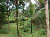 Photo de l'annonce Kourou terrain de 30 000 m² Kourou Guyane #4