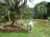 Photo de l'annonce Kourou terrain de 30 000 m² Kourou Guyane #6