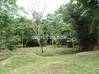 Photo de l'annonce Kourou terrain de 30 000 m² Kourou Guyane #7