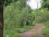 Photo de l'annonce Terrains a stoupan Matoury Guyane #5