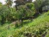 Photo de l'annonce terrain Saint-Joseph Martinique #2