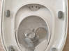 Photo for the classified Child & family toilet seat Barbados #3
