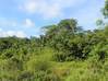 Photo de l'annonce Montsinery Tonnegrande terrain Montsinéry-Tonnegrande Guyane #1