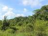 Photo de l'annonce Montsinery Tonnegrande terrain Montsinéry-Tonnegrande Guyane #2