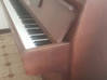 Photo de l'annonce Piano à cordes accordées Guyane #1