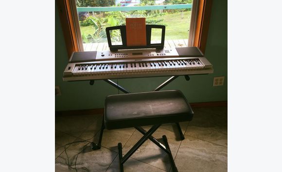 Piano Keyboard And Seat Musical Instruments Sint Maarten Cyphoma