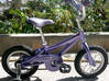Photo for the classified Specialised bike Saint Barthélemy #0
