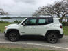 Photo de l'annonce Jeep Renegade Limited 6 mois >10000 kms Martinique #0