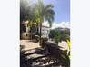 Photo for the classified Beautiful villa for rent in Almond Grove Saint Martin #1